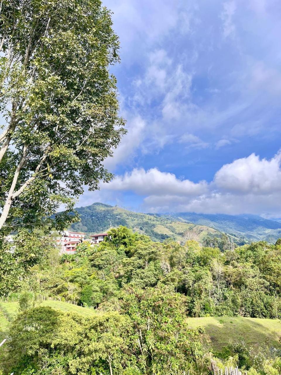 Hostal Bamboo Salento Bagian luar foto